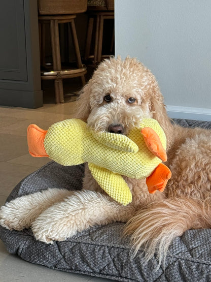 The Calming Duck- Emotional Support Toy