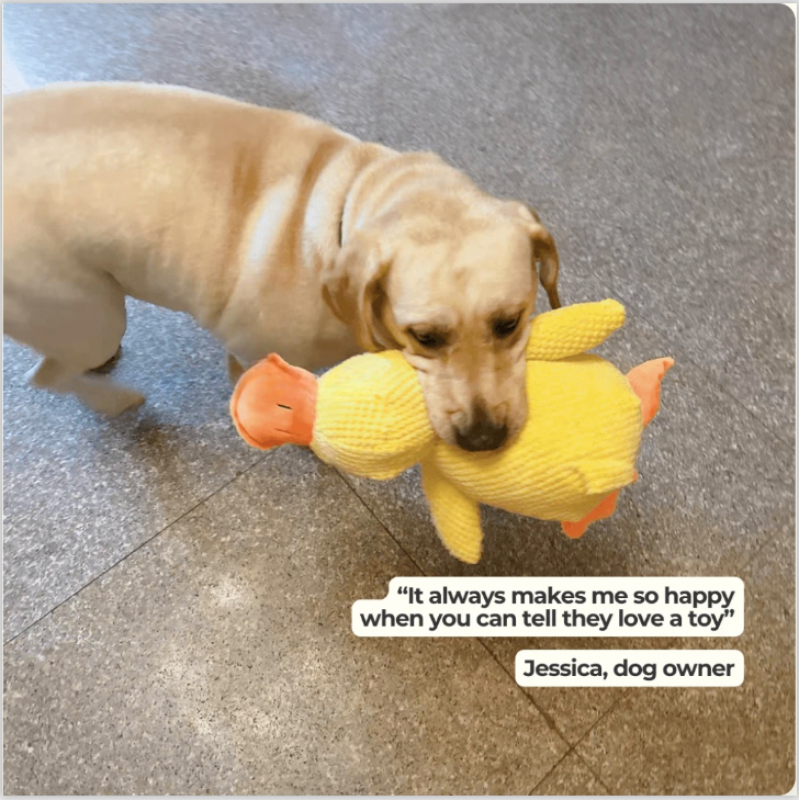 Review of dog Owner after buying emotional support yellow duck toy with dog holding it in its mouth